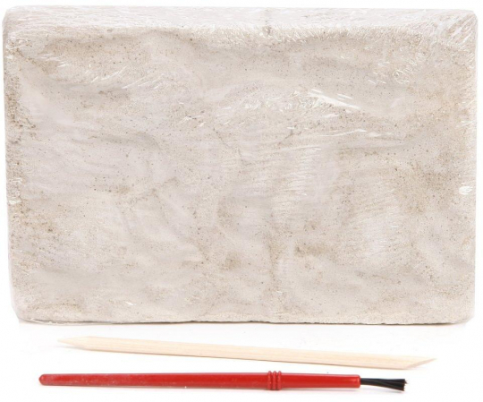 Набор для проведения раскопок Dino Excavation Динозавры Трицератопс