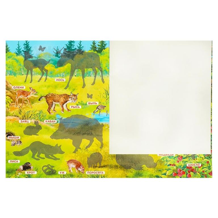 Книжка с наклейками Лесные животные