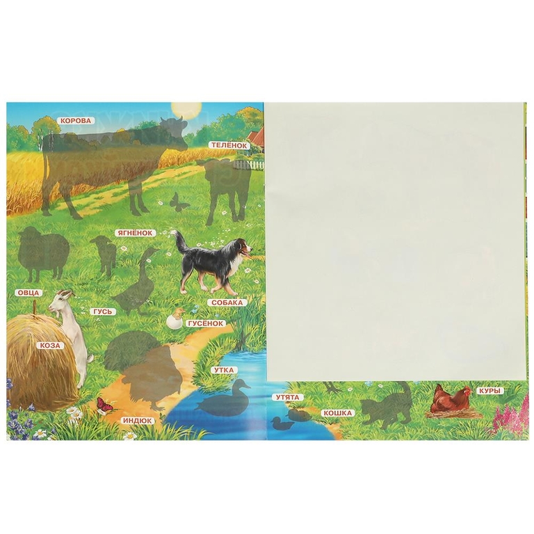 Книжка с наклейками Домашние животные