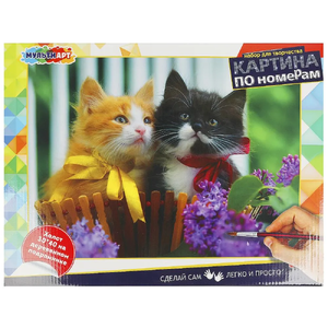 Картина по номерам 30х40 см котики