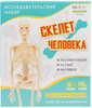 Набор исследовательский Скелет человека