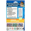 Игрушка опыты ТМ Школа учёного выращиваем кристаллы Играем Вместе