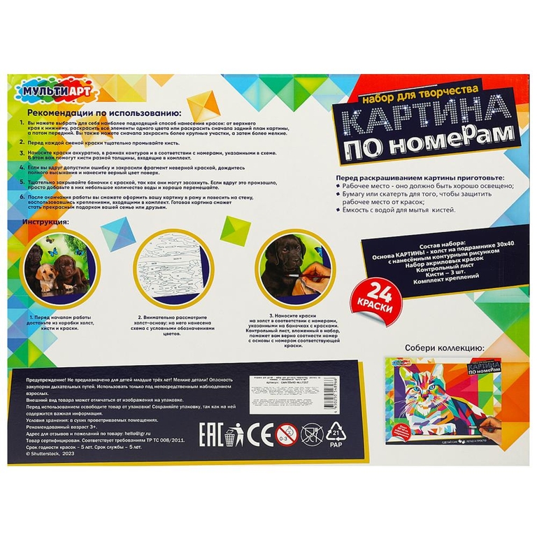 Картина по номерам 30х40 см три друга