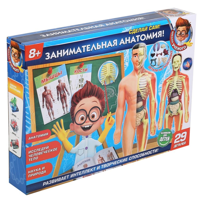 Игрушка опыты тело человека 3d-пазл ТМ Школа ученого