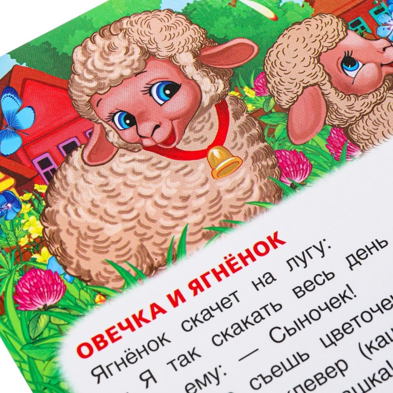 Книжка - гармошка Мамы и малыши М Дружинина