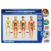 Игрушка опыты тело человека 3d-пазл ТМ Школа ученого