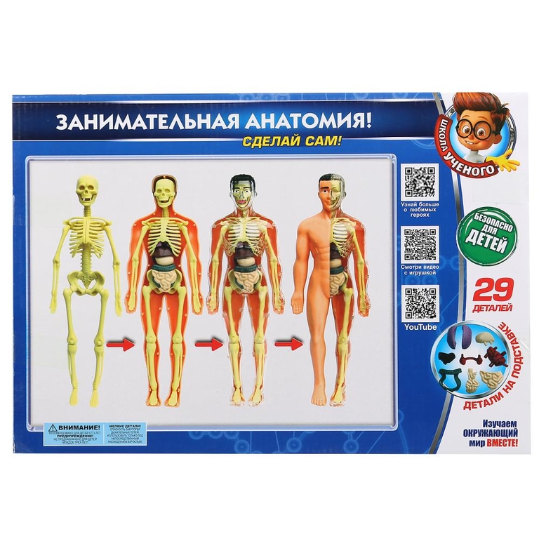 Игрушка опыты тело человека 3d-пазл ТМ Школа ученого